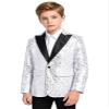 Hularka Kids Boys One Button Formal Dress Suit Jacket Blazer Shiny Sequins Wedding Party Banquet Prom Tuxedo Silver 8 Years view 3
