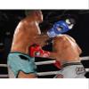 PRO Standard Series Leather Competition Boxing Gloves (Blue, 16oz) view 2