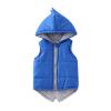 Baby Boys Girls Dinosaur Hooded Vest Winter uffer Lightweight Plaid Vests With Zip up Pockets 1-6 (Blue, 6-12 Months) view 1