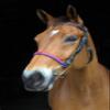 Tack Shack of Ocala Custom Noseband, Noseband for Horses, Nosebands for Bridles, Noseband for Bridles for Horses, Leather Noseband view 2