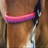 Tack Shack of Ocala Custom Noseband, Noseband for Horses, Nosebands for Bridles, Noseband for Bridles for Horses, Leather Noseband view 4