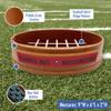 NFL Super-Bowl Tampa Bay Buccaneers Slow Feeder Dog & Cat Bowl. Football Design for Healthy Digestion. Non-Slip for Large & Small Pets view 3
