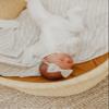 Copper Pearl Bowtie Baby Bow Coastal view 4