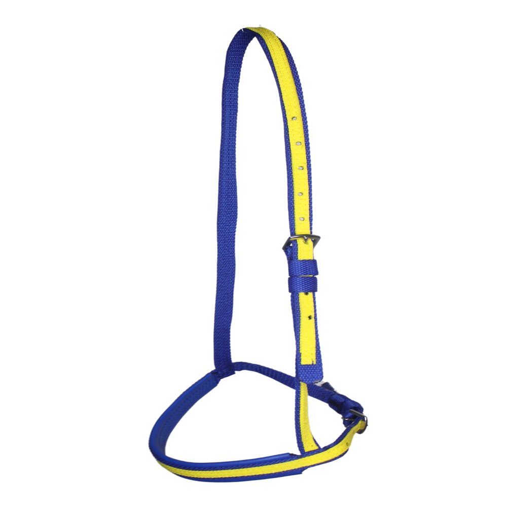 Tack Shack of Ocala Nylon Race Noseband, Race Noseband, Nylon Noseband, Custom Nylon Noseband, Noseband for Horses, Nylon Noseband for Horses