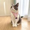 PETOGETHER 2 Pack Cat Costume Accessories Dog Scarf Pet Scarves Decoration Pet Apparel for Kitten and Puppy Bandana Gift Present Bibs Kerchief view 2