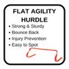 Winning Beast Set of 6 Flexible Flat Step Agility Hurdle by Martini Sport - 9 inches - Orange view 3