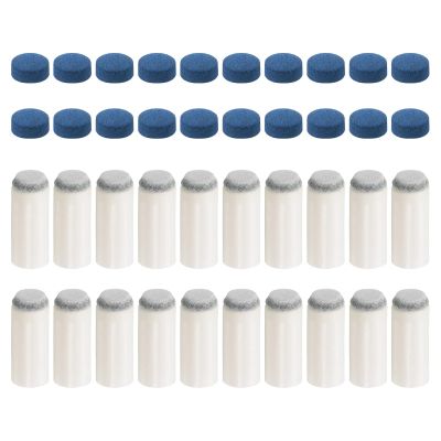 PATIKIL 9mm Pool Cue Tips Set, 20 Pair Snooker Billiard Cue Stick Tips Replacement Compatible Pool Cue Ferrules, Blue Grey