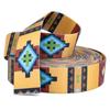 Country Brook Design - Native Arizona Polyester Webbing (1 1/2 Inch, 10 Yards) view 4