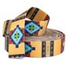 Country Brook Design - Native Arizona Polyester Webbing (1 Inch, 20 Yards) view 4