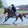 Lux GripTEQ Navy Riding Pants Small view 4