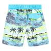 Board Shorts view 2