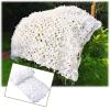 Jolan Reinforced Camouflage Netting, White Decorative Shade Net, Camo Netting for Hunting, Military, Camping, Sunscreen Camouflage Net 2m 3m 4m 5m 6m 7m 8m 9m 10m, Car Cover,White-4x4m(13.1 * 13.1ft) view 1