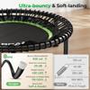BCAN BT2 450/550LBS Mini Rebounder Trampoline for Adults with Bar, Fitness Trampoline with Bungees, Adjustable Handle, Stable & Quiet, Indoor Outdoor, Whole-Body Workout & Relaxation at Home-48IN-GRN view 3