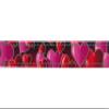 Country Brook Design - Romantic Hearts Reflective Polyester Webbing (1 Inch, 20 Yards) view 2