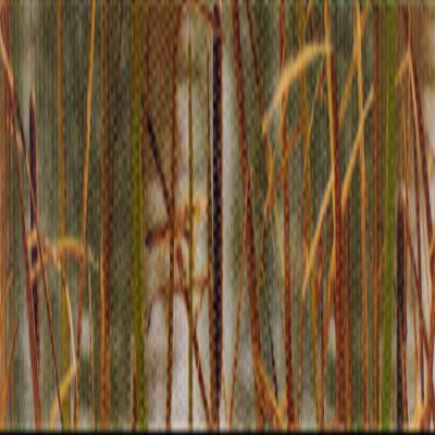 Country Brook Design - Waterfowl Camo Polyester Webbing (1 Inch, 10 Yards)