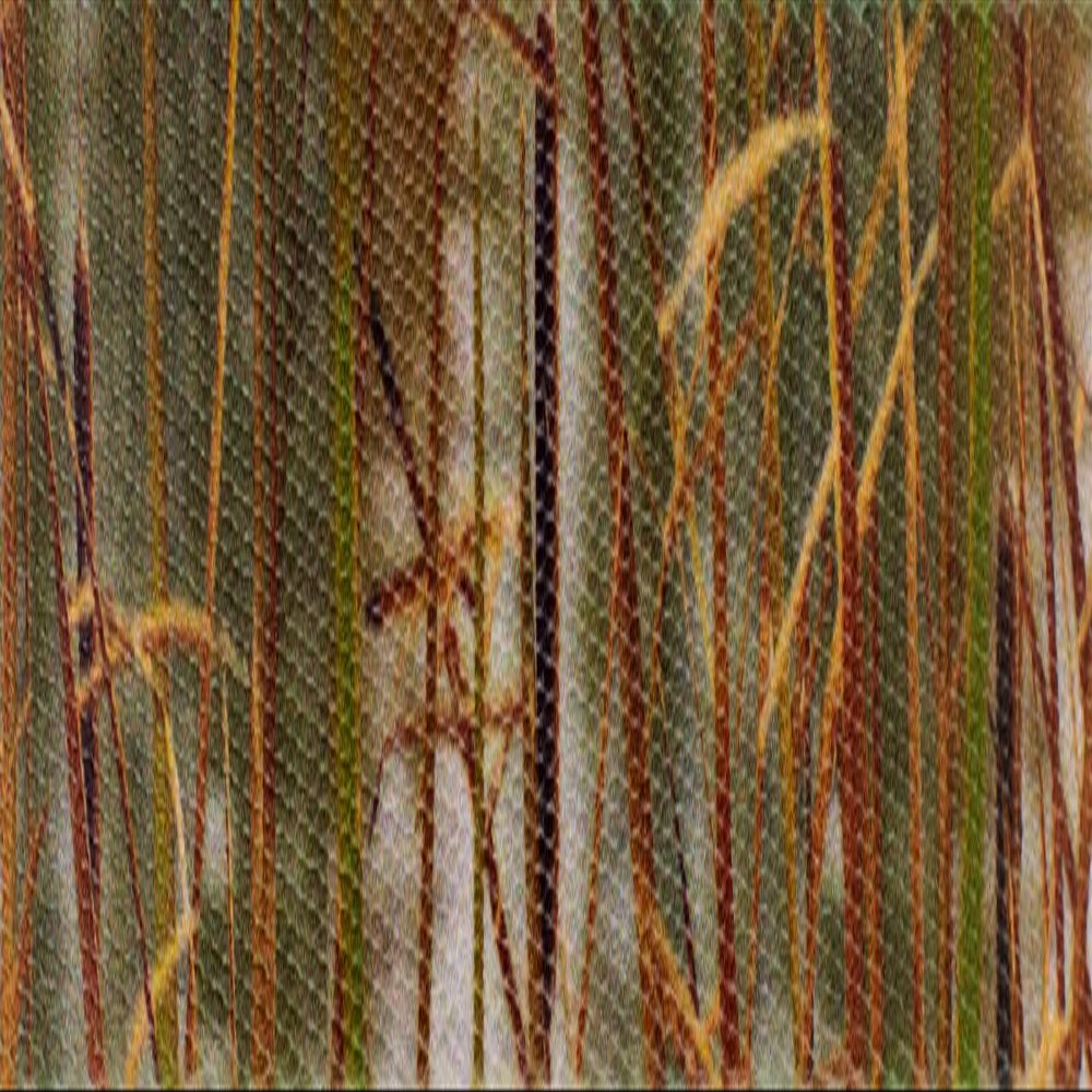 Country Brook Design - Waterfowl Camo Polyester Webbing (1 Inch, 10 Yards)