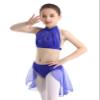 Duoremi Kids Girls Two-Pieces Dance Outfits Ballet Dance Dress Floral Lace Tops and Skirt Modern Dance Dress Blue 2-3 Years view 1