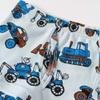 Winging Day Boys' Cotton 6-Pack Print Boxer Brief Underwear Size 2T view 3