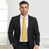 DecTwig Men's Ties Solid Color Formal Neckties 3.15" (8CM) Golden Yellow Ties For Men view 2