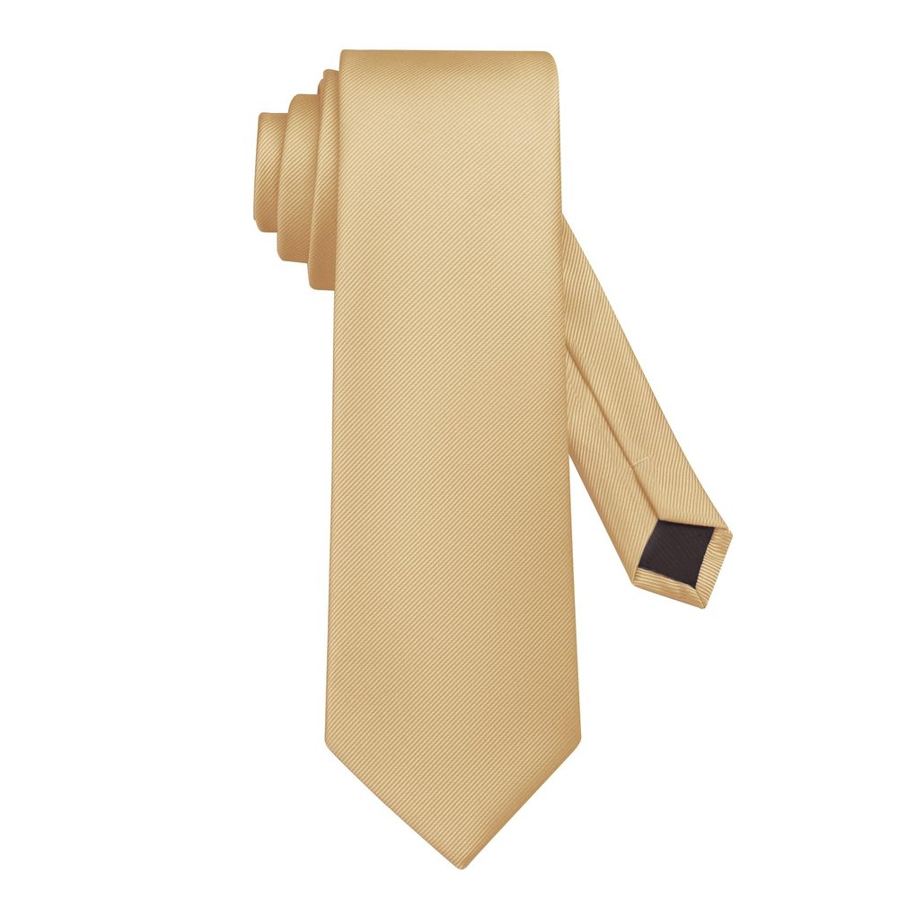 DecTwig Men's Ties Solid Color Formal Neckties 3.15" (8CM) Khaki Ties For Men