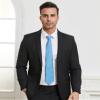 DecTwig Men's Baby Blue Ties Solid Color Formal Neckties 3.15" (8CM) Light Blue Ties For Men view 2