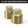 HAPDEN Boat Plugs 1/2 Inch Npt Solid Brass Boat Drain Plug, 2 Pack Garboard Drain Plug Boat Drain Plug Fits Most Boat Hulls (1/2 Inch NPT) view 3