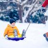 Era 30-inch T-Rex Saucer Sled  1 Rider Kids' Novelty Saucer for Year-Round Fun on Sand and Grass Hills, Blue view 3
