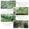 Outdoor Camouflage Netting, Camouflage Shade Net, Military Net, Hunting, Camping, Decorative, Light Sunscreen Net 2/3/4/5/6/7/8/9/10m, for Garden, Car Cover Camo Netting,Jungle-3x8m(9.8 * 26.2ft) view 2