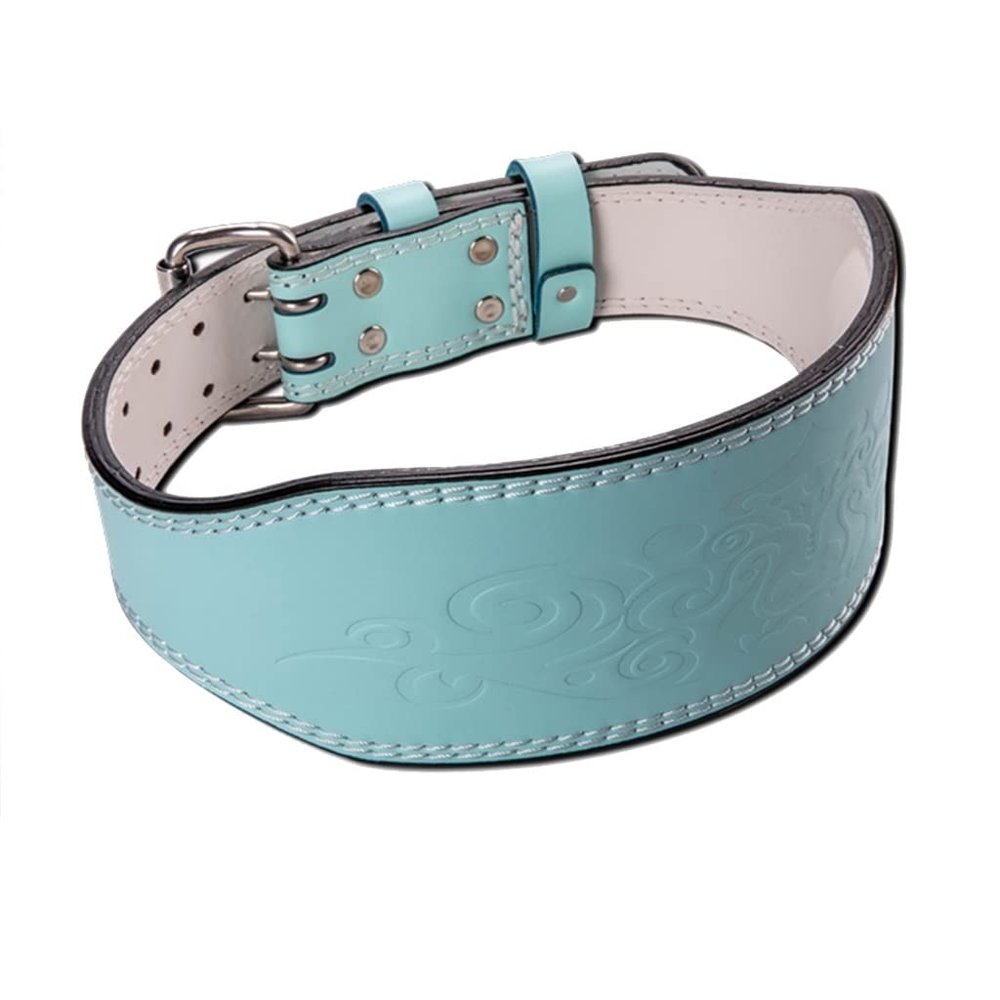 Weight Belts Women's Weightlifting Belt Leather Fitness Belt Lumbar Support Fitness Deep Squat Hard Pull Heavy Cross Training Gym Weightlifting Exercise (Color : Blue, Size : Small)