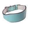 Weight Belts Women's Weightlifting Belt Leather Fitness Belt Lumbar Support Fitness Deep Squat Hard Pull Heavy Cross Training Gym Weightlifting Exercise (Color : Blue, Size : Large) view 1