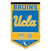 Bruins Heritage History Banner Pennant view 1