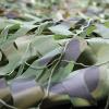 Camouflage Netting for Hunting,Military Net 2m 3m 4m 5m 6m 7m 8m 9m,Camo Netting Woodland,Shade Net,Army,Camping,Shooting,Decoration,Car Cover,Sunscreen Camouflage Net,Jungle-9x10m(29.5*32.8ft) view 3