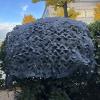 Jolan Camouflage Shade Net, Grey Camo Netting 2x3m 2x4m 2x6m 3x3m 3x6m 4x6m 4x8m, Military Net, Camouflage Netting for Hunting, for Camping Garden Pergola Decoration Car Cover,Grey-1.5x3m(4.9x9.8ft) view 4