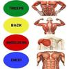 sainio Bracket Board Complete Push Up Training System Colour Coded Portable Push-up view 4