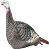 Hunters Specialties HS Strut Lite Hen Turkey Foldable Hollow Body Realistic Decoy, 2 Pieces Pack view 1