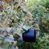 Camouflage Netting for Hunting, Military Camo Netting, Garden Pergola Shade Net, Woodland, Camping, Hide, Shooting, Party Decoration, Car Cover, Sunscreen Camouflage Net,Jungle-10x10m(32.8*32.8ft) view 4