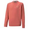 PUMA Boy's Cloudspun Crew Neck (Big Kids) Heartfelt Heather XS (7 Big Kid) view 1