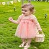 AGQT Baby Girls Tulle Tutu Dress Sleeveless Toddler Butterfly 3D Flower Print Back Girls Dresses Birthday Holiday Wedding Layered Lace Dress Light Pink Size 18-24M view 3