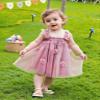 AGQT Baby Girls Tulle Tutu Dress Sleeveless Toddler Butterfly 3D Flower Print Back Girls Dresses Birthday Holiday Wedding Layered Lace Dress Dark Pink Size 4-5T view 4