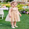 AGQT Baby Girls Tulle Tutu Dress Sleeveless Toddler Butterfly 3D Flower Print Back Girls Dresses Birthday Holiday Wedding Layered Lace Dress Apricotle Size 3-4T view 2