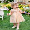 AGQT Baby Girls Tulle Tutu Dress Sleeveless Toddler Butterfly 3D Flower Print Back Girls Dresses Birthday Holiday Wedding Layered Lace Dress Apricotle Size 3-4T view 3