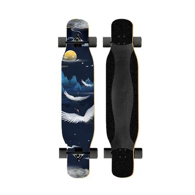 47 Inches Skateboard Longboard Drop Through Long Boards, Skateboard 7 Layer Maple Wood Skate Board Deck Long Board Cruiser for Kids Adults, Beginners Boys Girls Teens (Color : C)