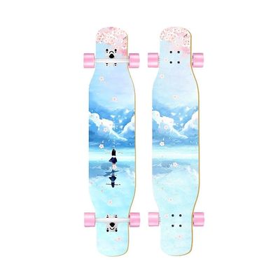 47 Inches Skateboard Longboard Drop Through Long Boards, Skateboard 7 Layer Maple Wood Skate Board Deck Long Board Cruiser for Kids Adults, Beginners Boys Girls Teens (Color : I)