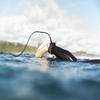 nanazero Recycled Material Leash 9ft for Surfing, 7mm Thickness, Leg Rope for All Types of Surfboard, Shortboards, Mid-Lengths, Longboards, SUP Paddle Boards view 4