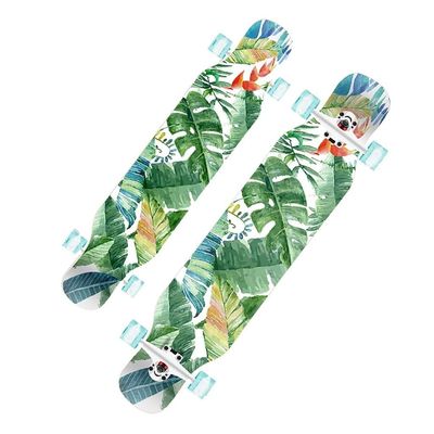 Skateboard for Cruising Freestyle Downhill Dancing, Skateboard Premium Longboard 42 Inches Long Boards Skateboard for Girls Boys, Skate Board Cruiser for Teens Adults Beginners ( Color : Style C with