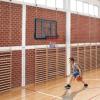 Wall-mounted Basketball Hook Indoors and Outdoors, Performance PET Backboard & Rim Combo, Suitable for Home Training and Club Use, Black, Clear view 4
