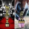 Awards4U Winner and Loser Trophies - Personalized Goat and Horse Butt Trophy Set with Customized Plates for 1st and Last Place (Fantasy Football) view 3