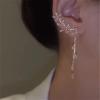 Butterfly Tassel Style Zircon Earrings, Butterfly Earrings for Women, Butterfly Jewelry, Butterfly Flowers Tassel Long Earring, Shiny Zircon No Piercing Butterfly Ear Clip (#2,1 Pair) view 3