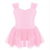 JEATHA Princess Leotards for Girls Ballet Dance Tutu Skirted Ballerina Dress Birthday Fancy Party Costumes Pink 14 Years view 1