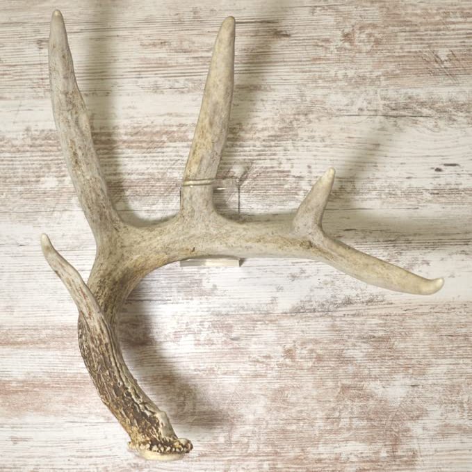 TOUGHRAK - 4 Pack Invisible Shed Antler Display